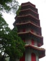7 story pagoda