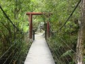 Suspension Bridge