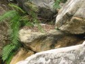 Small Waterfall