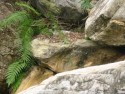 Small Waterfall