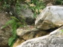 Small Waterfall