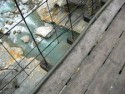 Derelict Bridge