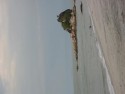 Shoreline