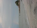 Shoreline