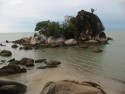 Shoreline