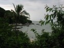 Shoreline