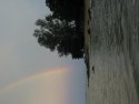 Shoreline