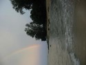 Shoreline