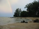 Shoreline