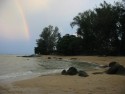 Shoreline