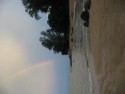 Shoreline