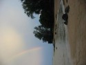 Shoreline