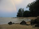 Shoreline