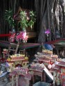 Shrine