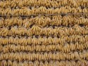Corn Drying