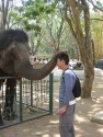 Elephant and Wesley