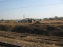 Trackside