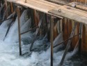 Dam