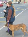 Girls and dog