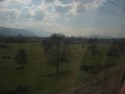 Field