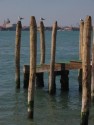 Pier