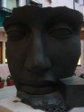 Face