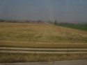 Countryside