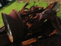 Wreck