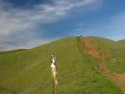 Hillside