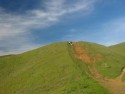 Hillside
