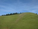 Hillside