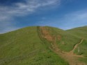 Hillside