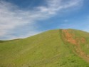 Hillside