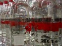 Bottles