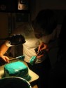 Frosting