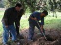 Digging
