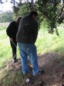 Digging