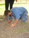 Digging