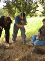 Digging