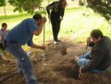 Digging