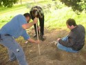 Digging
