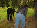 Digging