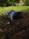 Digging
