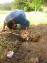 Digging