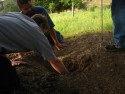 Digging
