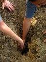 Digging