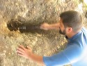 Digging