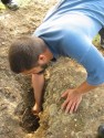 Digging