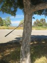 Golf Club
