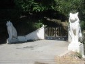 Dos Gatos